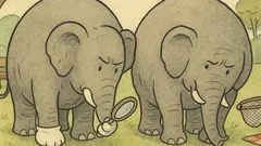 Banc: De ce poartă elefanții mănuși?